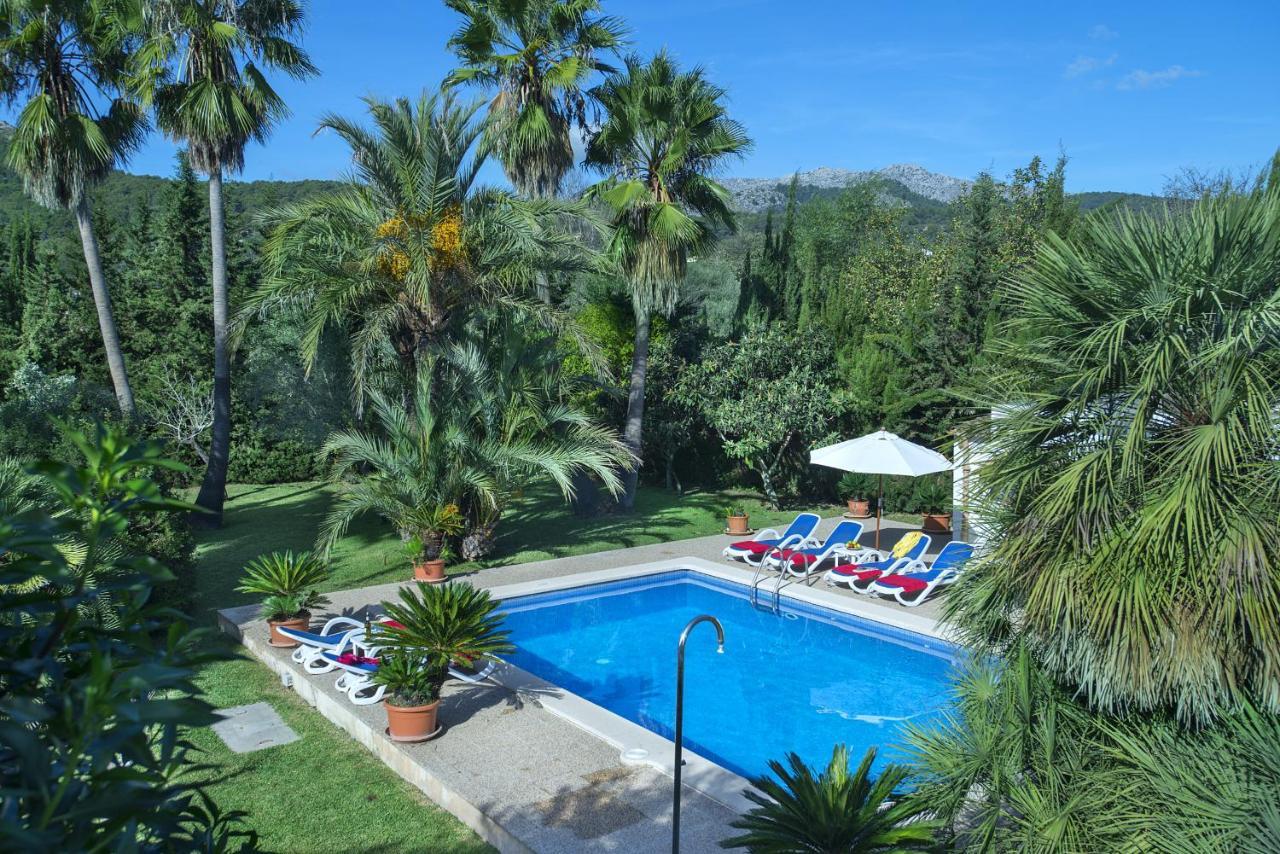 Owl Mairata - Great Garden&pool